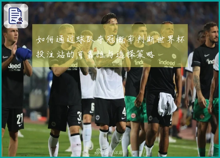如何通过球队夺冠概率判断世界杯投注站的可靠性与选择策略