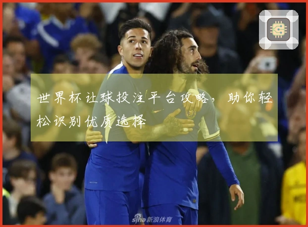 世界杯让球投注平台攻略，助你轻松识别优质选择