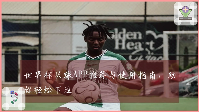 世界杯买球APP推荐与使用指南，助你轻松下注